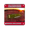 Georgia Bulldogs - 2021 Sanford Sunset National Champions Georgia Bulldogs For Sale