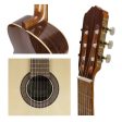 Raimundo 124 Spruce Classical Guitar For Sale