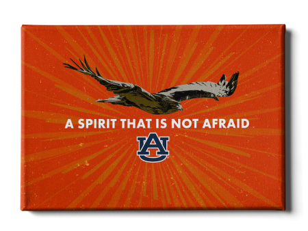 Auburn Tigers - Retro A Spirit that is Not Afraid Online