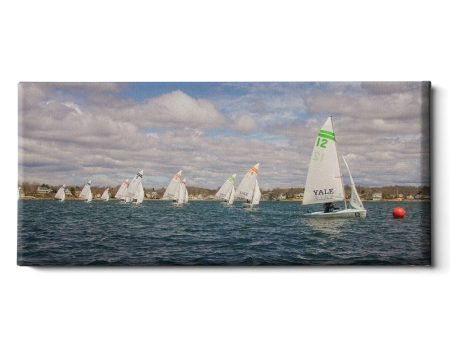 Yale Bulldogs - Yale Sailing For Discount