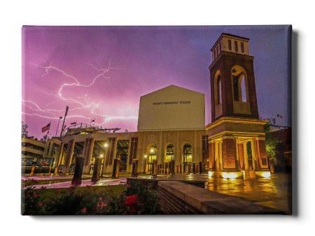 Ole Miss Rebels - Lightning Over Vaught Hemingway Cheap