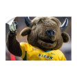 North Dakota State Bison - Thundar Three Fingers Discount