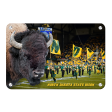 North Dakota State Bison - Bison Online