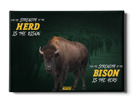 North Dakota State Bison - For the Strength of the Herd Supply