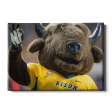 North Dakota State Bison - Thundar Three Fingers Discount