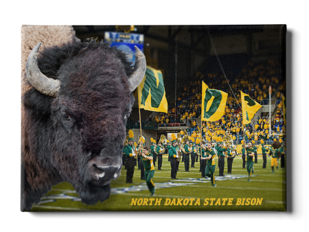 North Dakota State Bison - Bison Online