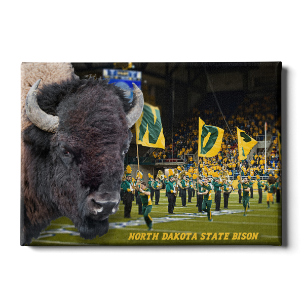 North Dakota State Bison - Bison Online