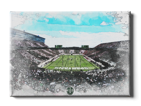 Michigan State Spartans - Spartan Stadium Stripe Watercolor Online