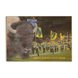 North Dakota State Bison - Bison Online