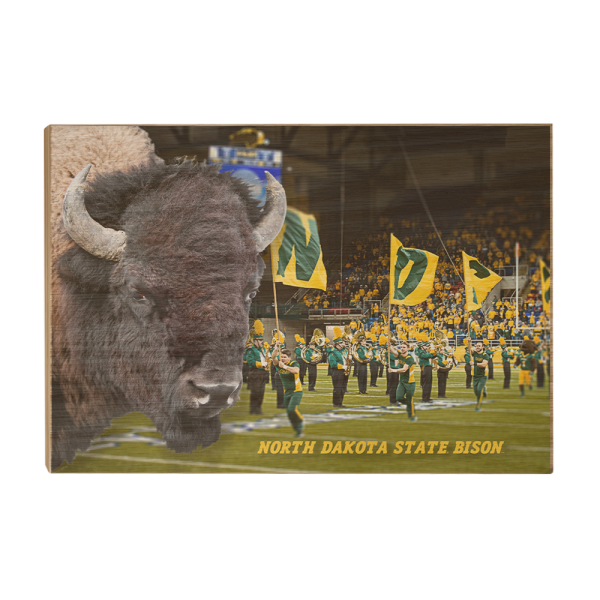 North Dakota State Bison - Bison Online