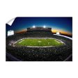 Michigan State Spartans - Spartans Sunset Online Hot Sale