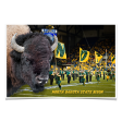 North Dakota State Bison - Bison Online