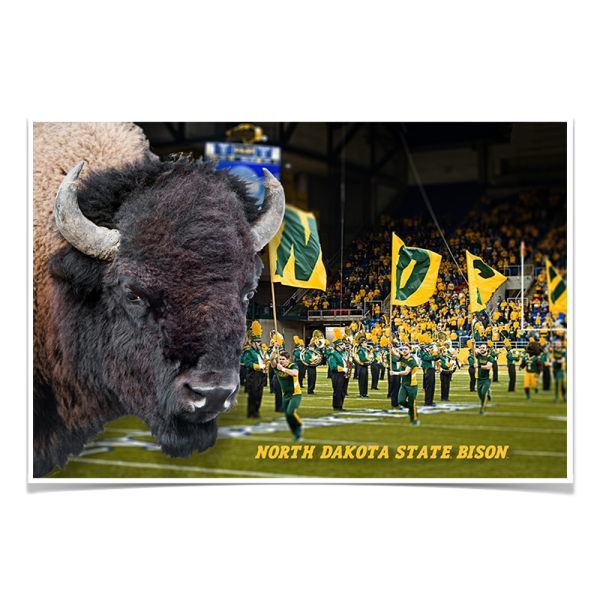 North Dakota State Bison - Bison Online