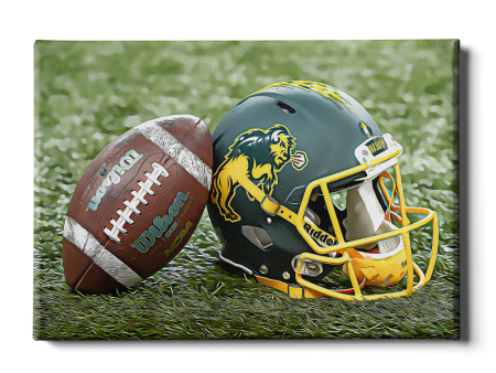 North Dakota State Bison - Harvest Helmet For Cheap