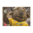 North Dakota State Bison - Thundar Three Fingers Discount