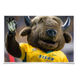 North Dakota State Bison - Thundar Three Fingers Discount