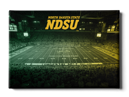 North Dakota State Bison - Gate City Bank Field Duotone Online now