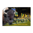 North Dakota State Bison - Bison Online