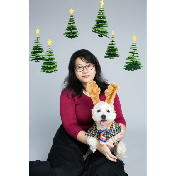 EXCLUSIVE: Kohepets Christmas Photoshoot Package Discount