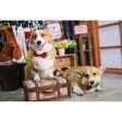 EXCLUSIVE: Kohepets Christmas Photoshoot Package Discount