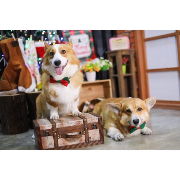 EXCLUSIVE: Kohepets Christmas Photoshoot Package Discount