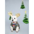 EXCLUSIVE: Kohepets Christmas Photoshoot Package Discount